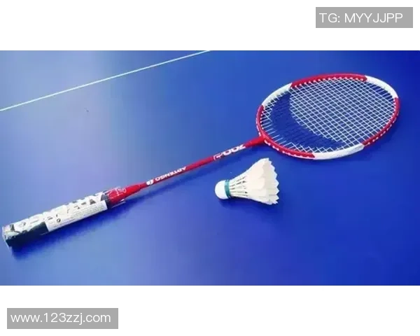 羽毛球的魅力与技巧成都羽毛球队灵活性深度解析