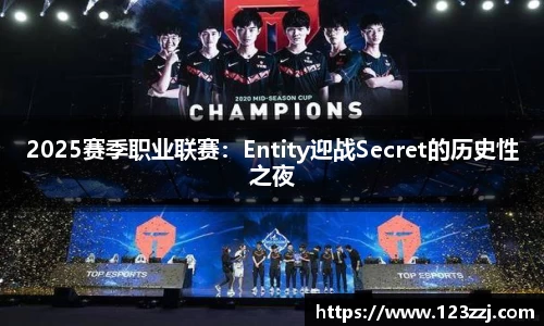 2025赛季职业联赛：Entity迎战Secret的历史性之夜